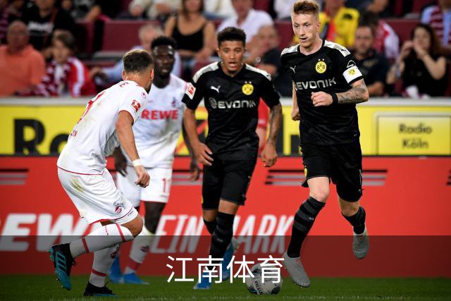 江南体育公司简介